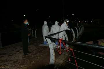 ردپای آنفلوانزای فوق حادپرندگان دردریاچه کیو خرم آباد