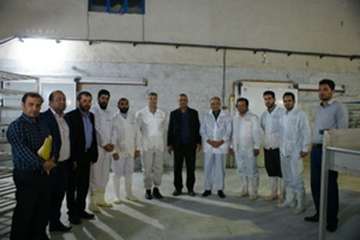 بازدیدشبانه مدیرکل دامپزشکی لرستان از کشتارگاه طیور شرق الیگودرز