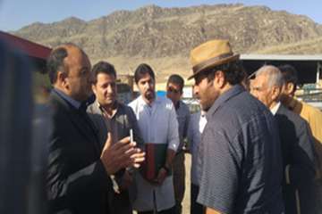 بازدید مدیرکل دامپزشکی لرستان از میدان دام محمودوند