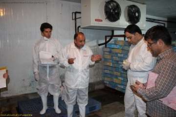 بازدید شبانه مدیرکل دامپزشکی لرستان وهمراهان ازکشتارگاه طیورکوهدشت