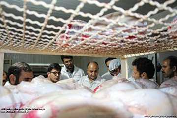 بازدید شبانه مدیرکل دامپزشکی لرستان وهمراهان ازکشتارگاه طیورکوهدشت