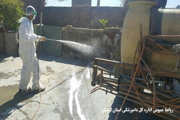 معدوم سازی طیور بومی مبتلا به آنفولانزای فوق حاد طیور در روستای تلوری علیا