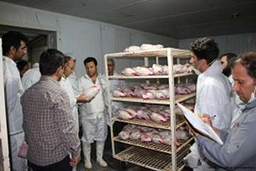 بازدید شبانه مدیرکل دامپزشکی لرستان وهمراهان ازکشتارگاه طیورکوهدشت