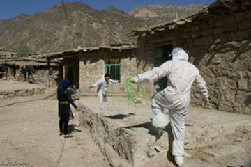 معدوم سازی طیوربومی مبتلا به آنفلوانزای طیور درروستای لارکه سپیددشت