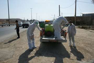 دامپزشکی به روایت تصویر