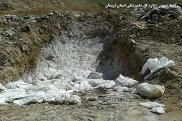 معدوم سازی طیور بومی مبتلا به آنفولانزای فوق حاد طیور در روستای تلوری علیا