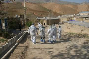 دامپزشکی به روایت تصویر