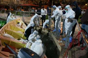 ردپای آنفلوانزای فوق حادپرندگان دردریاچه کیو خرم آباد