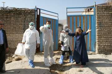 دامپزشکی به روایت تصویر