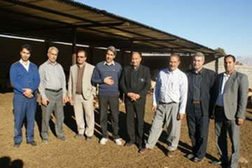 بازدید دکترتوکلی مدیرکل دامپزشکی لرستان وهمراهان از مناطق عشایری شهرستان پلدختر