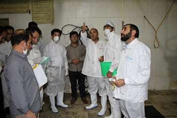 بازدید شبانه مدیرکل دامپزشکی لرستان وهمراهان ازکشتارگاه طیورکوهدشت