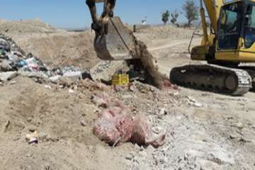 ضبط ومعدوم سازی 630 کیلوگرم آلایشات فاسد مرغ توسط همکاران موادخام دامی شهرستان بروجرد