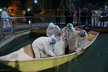 ردپای آنفلوانزای فوق حادپرندگان دردریاچه کیو خرم آباد