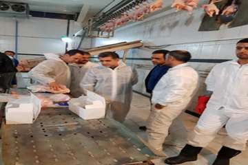 بازدید معاون فرماندار شهرستان بروجرد از کشتارگاه ملس وپرریزان