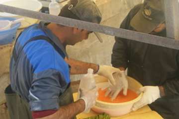 بازدید مدیر کل دفتر بهداشت و مدیریت بیماریهای آبزیان سازمان دامپزشکی کشور و مدیر کل دامپزشکی استان ل