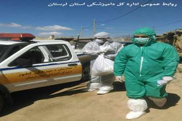 معدوم سازی طیور بومی مبتلا به آنفولانزای فوق حاد طیور در روستای باوکی شهرستان الیگودرز در روز اول فر