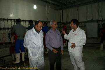 بازدید شبانه مدیرکل دامپزشکی لرستان ازکشتارگاههای طیور بروجرد