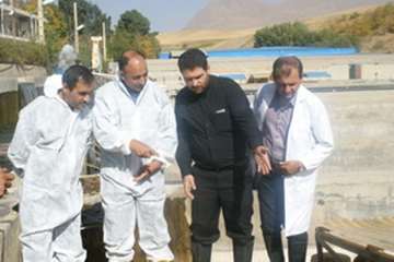 بازدید مدیر کل دفتر بهداشت و مدیریت بیماریهای آبزیان سازمان دامپزشکی کشور و مدیر کل دامپزشکی استان ل