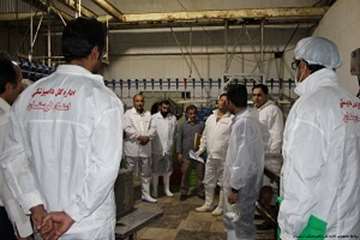 بازدید شبانه مدیرکل دامپزشکی لرستان وهمراهان ازکشتارگاه طیورکوهدشت