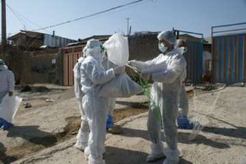 عملیات معدوم سازی طیور منطقه کهریز شهرستان خرم اباد