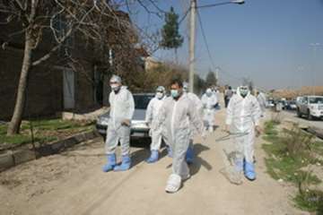 دامپزشکی به روایت تصویر