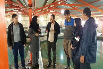 دامپزشکی لرستان به روایت تصویر