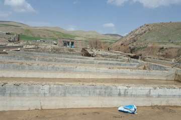 دامپزشکی لرستان به روایت تصویر