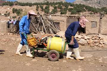دامپزشکی لرستان به روایت تصویر