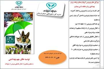 ویروس کرونا