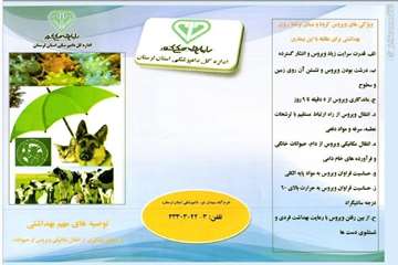 پوسترهای ترویجی