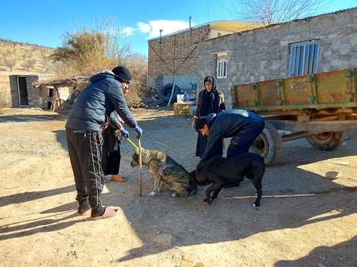  گزارش خبری صدا و سیما از برگزاری اردوی جهاد دامپزشکی در بخش پاپی خرم آباد  