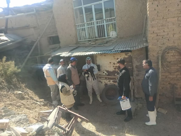 برگزاری اردوی جهاد دامپزشکی در روستاهای شهرستان ازنا 