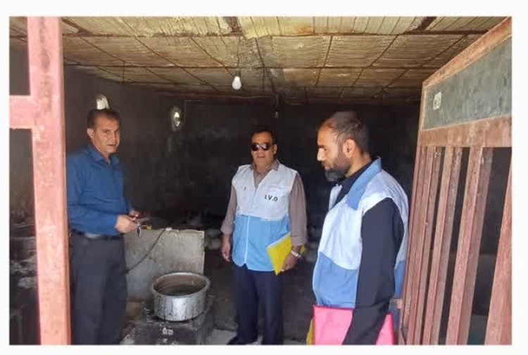 تشدید نظارت بر مراکز کشتار دام و طیور شاهیوند چگنی