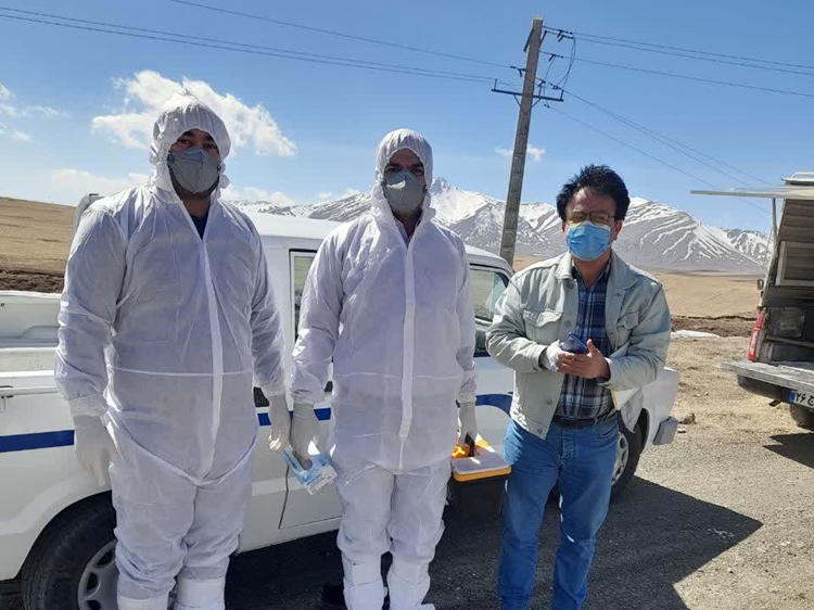نمونه برداری از سگ مشکوک به هاری روستای دهله ابراهیم الیگودرز   
