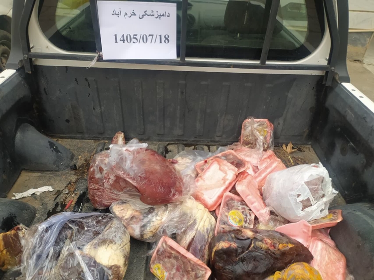 کشف و ضبط ۵۰ کیلوگرم فرآورده خام دامی منجمد فاسد و تاریخ‌گذشته در خرم‌آباد طی گشت مشترک نظارتی 